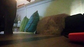 Latino shemale chats casually