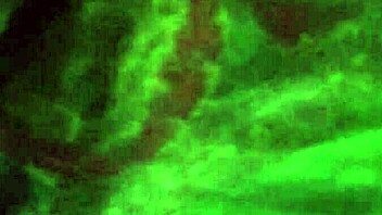 Wow, that ebony amateur gives good head sucking blowjob