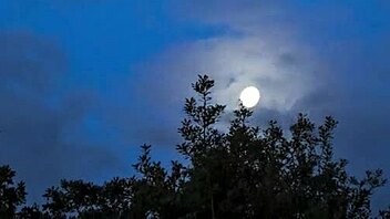 our passion mark - la petite 18+ mort reaches intense climax