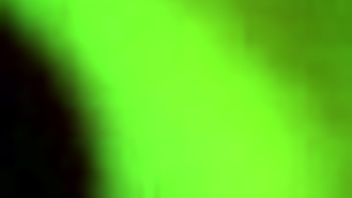 Watching my neighbor passionately in the bathroom fills me with excitement