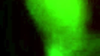 Watching my neighbor passionately in the bathroom fills me with excitement