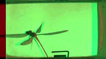 Dark Lantern Entertainment Presents The Dragonfly