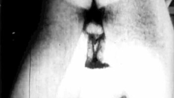 Dark Lantern Entertainment Presents The Dragonfly