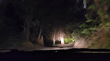 young latina brunette with tattoos sucks monster cock in mountain night adventure