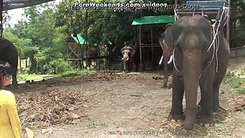 A girl gets punished with a blowjob on a trip abroad