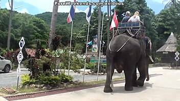 Blowjob wordt straf tijdens vakantie seks ongeluk