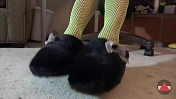 worship green fishnets feet!