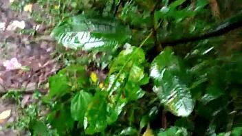 Machos Fazendo Orgia Dentro Da Floresta