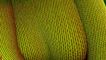 velma story features the ghost haunting the brothel with deepthroat and cumshot.