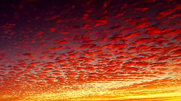 Aint gonna b no side piece issa episode 6 pt 2 sfw cartoon version