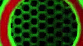 Blonde Vicky Vette Strips Down and Fingers Her Wet Twat Hard