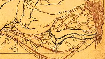 vintage erotic drawings from retro anime hentai collection.