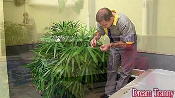 tranny amanda ferraz seduces men into bareback 3some