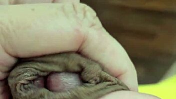 my super movie of yellow underwear