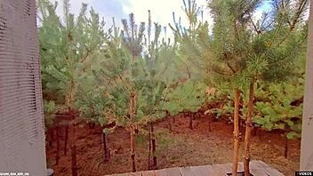 creamy load spills on my panties after intense rubbing session  