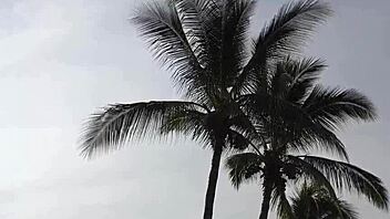 I Fuck My Friend's Girlfriend In Her Own Car