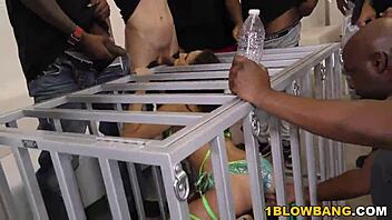 ashley adams in a wild interracial gangbang 😈