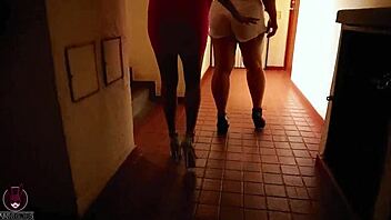 Me and my roommate sharing a cock, previous fun