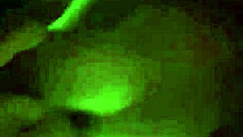 We went wild on the dining table in crazy positions, licking and dripping cum