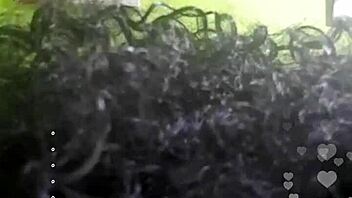 Putita Negra Española Se Toca En Un Directo De Instagram