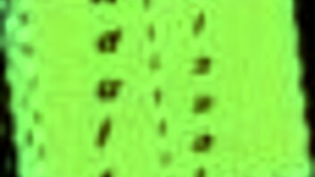 Summertime Saga Episode 237 Adventure