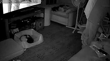 Wife gives intense blowjobs!