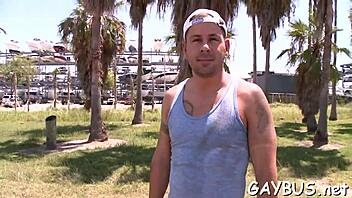 Gay hardcore video with big cocks and blow jobs