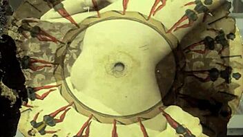 vintage erotic art collection