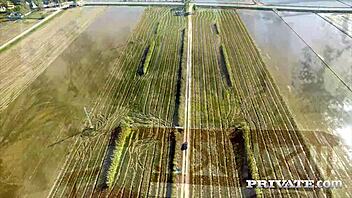 Može li ogromnosička Latinka izdržati divlju jebu na terasi?