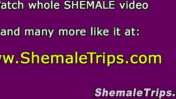 Travestis deviennent sauvages avec sucement et baise hardcore