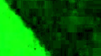 Tham Truong Vietnam Self Recorded