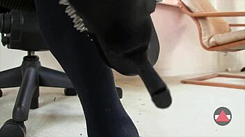 sexy babe dangles shoes in pantyhose close up