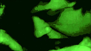 ダークランタン、継母たちのエロいレトロ告白を暴露