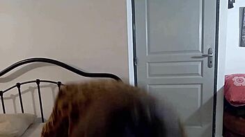 French Blond Amateur In Satin Lingerie Gets Muff Diving And Doggystyle