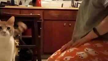 Homemade Compilation Featuring Fetish Friendly Content And POV