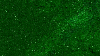 Risky airplane toilet masturbation without panties nearly gets caught