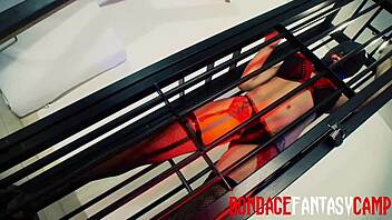 Mai bailey and krystal webb lick ass and finger pussy