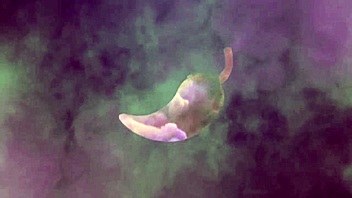 i bet my ass would cum, neighbor lost