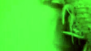 Kiara Gold in early morning threesome with assfucking and cumshots?