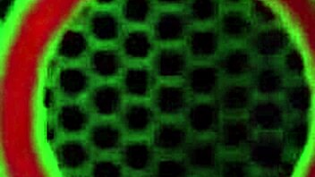 so, vicky vette's just rubbing her big clit in the shower, showing off tan lines