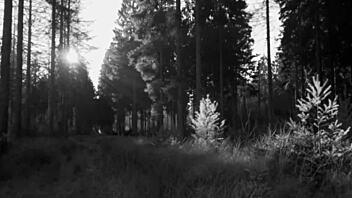 the blonde showed off her new bra, and the guy was interested