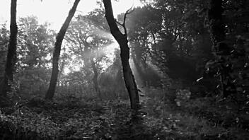 chic chick caught in hot pickup! 🔥