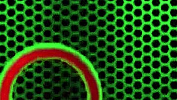 angelina castro says, 'lick my big pussy lips and fuck my ass!'