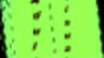 Introducing my new family in this video