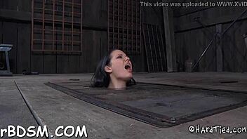 Free Sadomasochism Porn with Rough Fucking and Sucking.