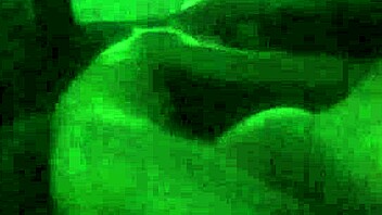 I Had Sex In The Car At The Park