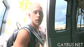 gay sex in various clips!