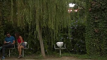 Public bush goes around outdoors