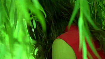 Public bush goes around outdoors