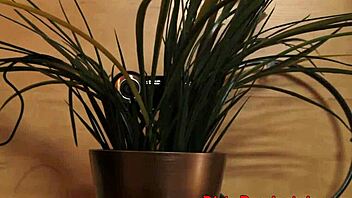 Wow! Pretty Mistress Disciplines Her Pussy With Toys!